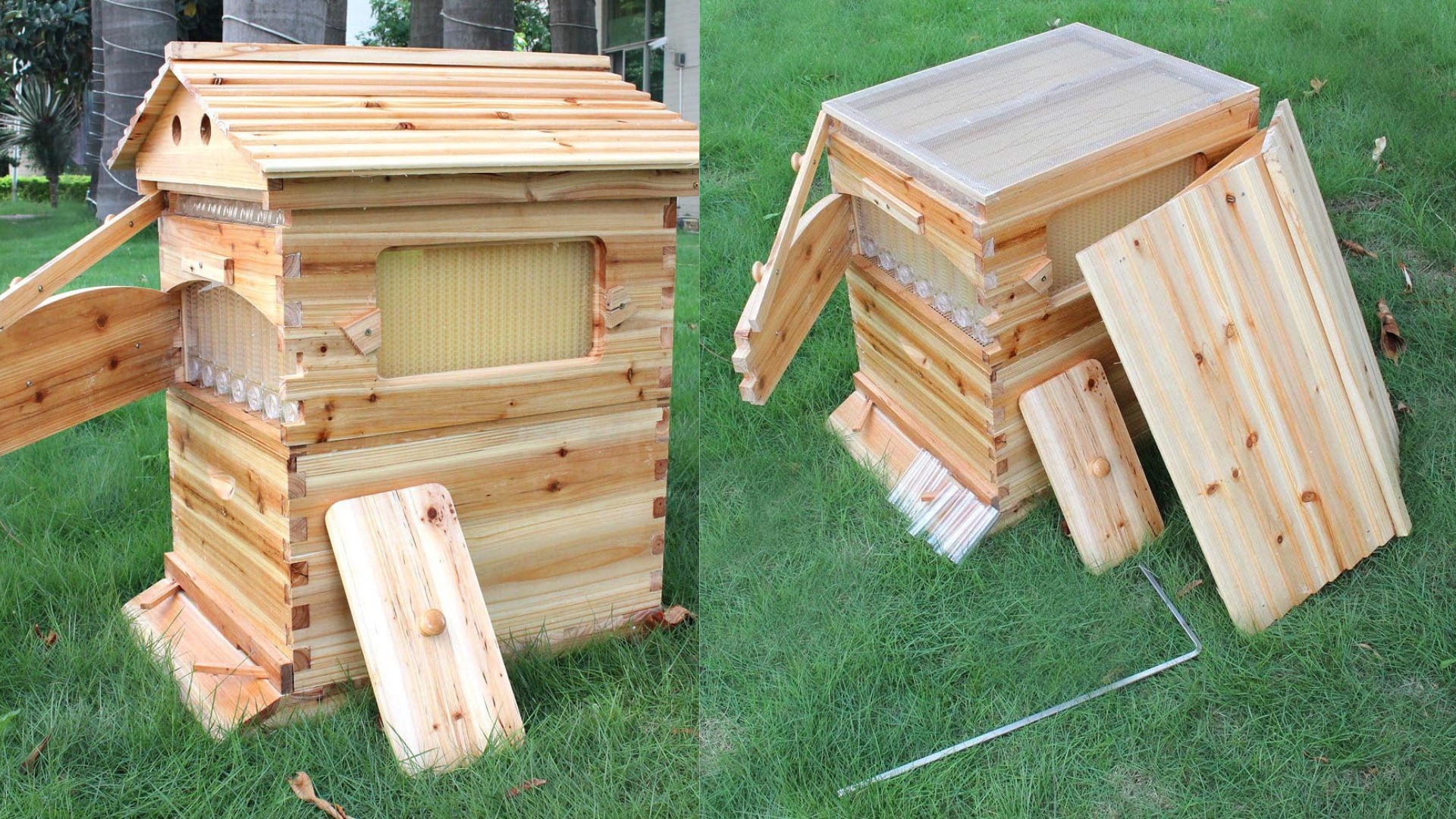 Golden Palace Beehive Starter Kit Review: Easy Honey Harvesting for Beekeepers