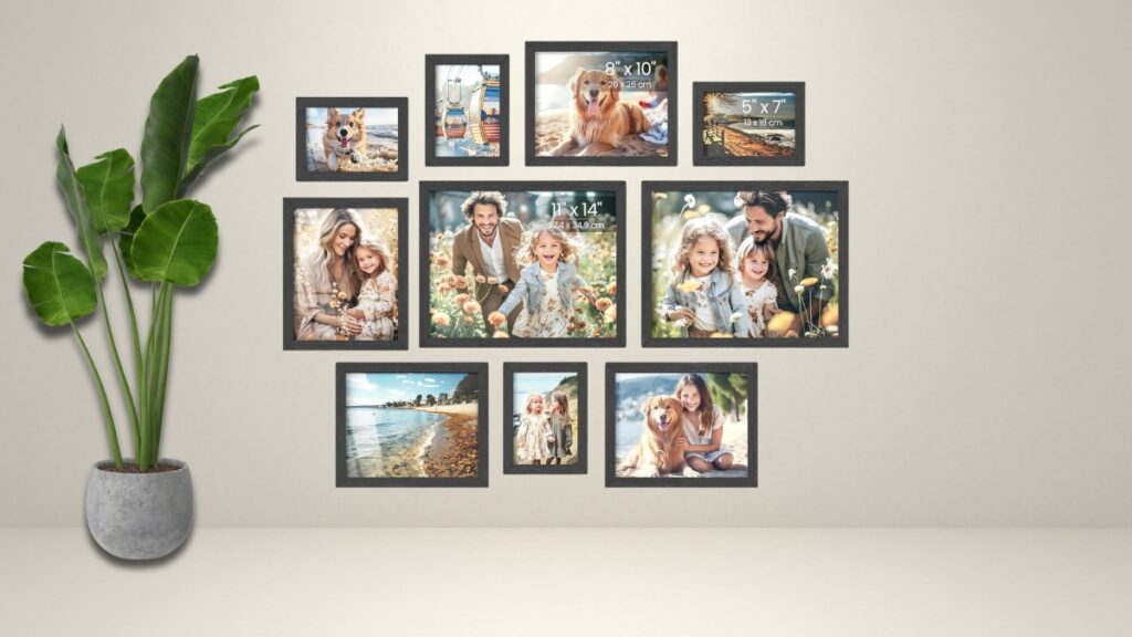 A set of black picture frames from best Amazon home deals is arranged on a wall, displaying family and pet photos next to a potted plant.