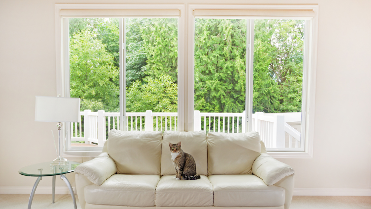 A cozy living room with a cream-colored sofa and a cat sitting on it, set against large windows showing a lush green backyard with tall trees.