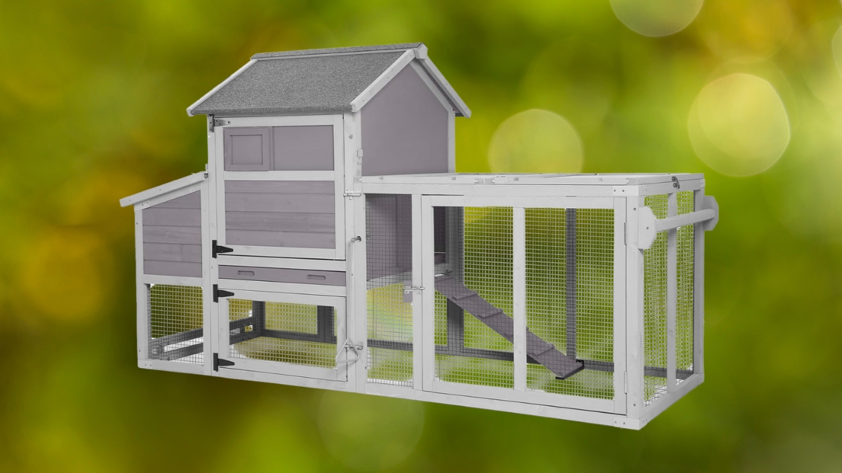 Aivituvin Mobile Chicken Coop Review: Is This the Best Portable Coop for Your Flock?