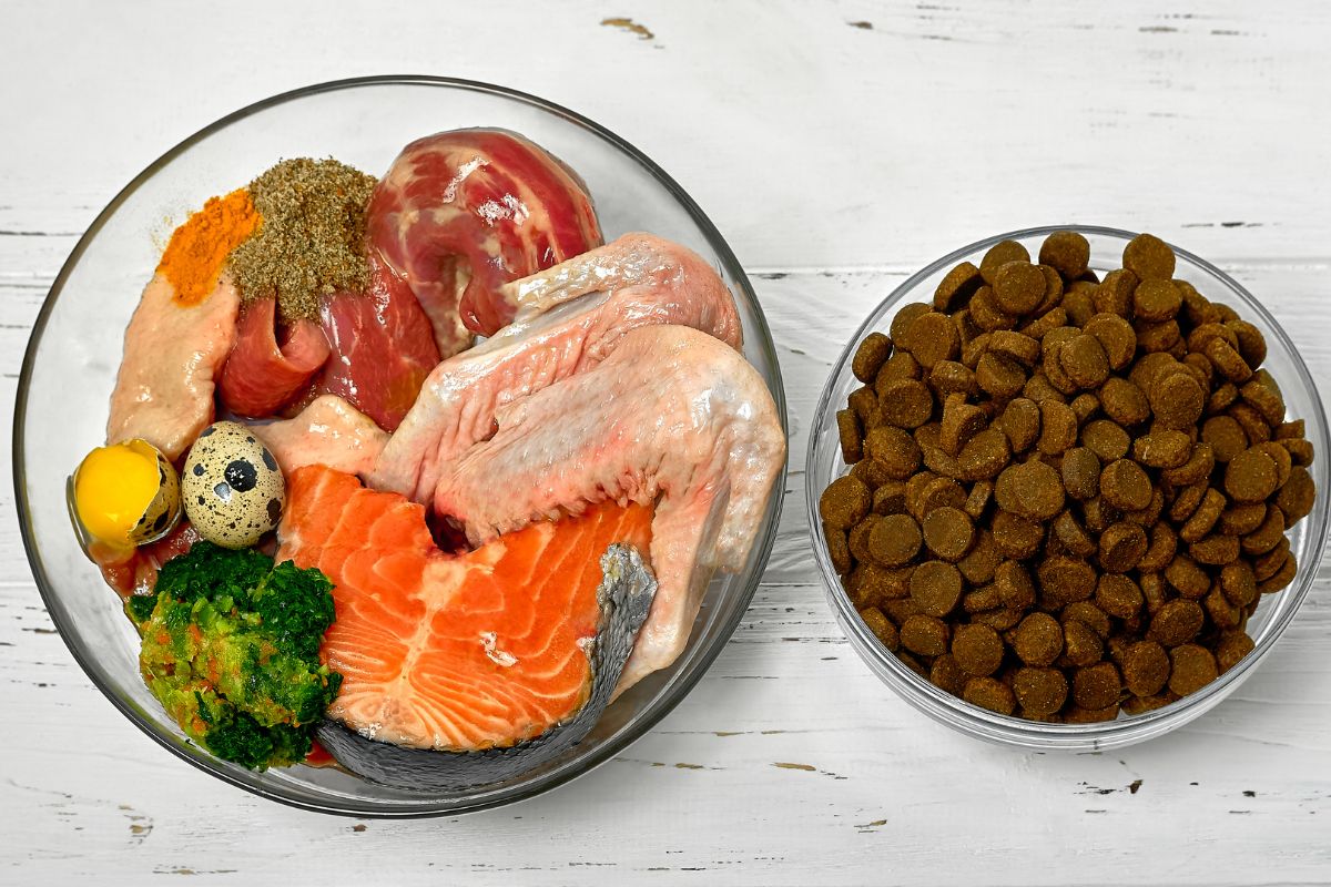 NomNom Pet Food vs Competitors: Game-Changing Benefits in 2025