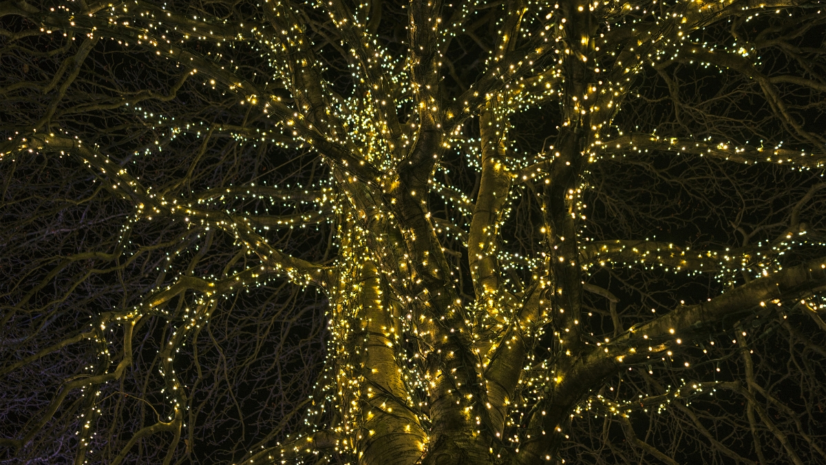 How the American Lighting Flexbrite LED Rope Light Transforms Any Space in Your Home