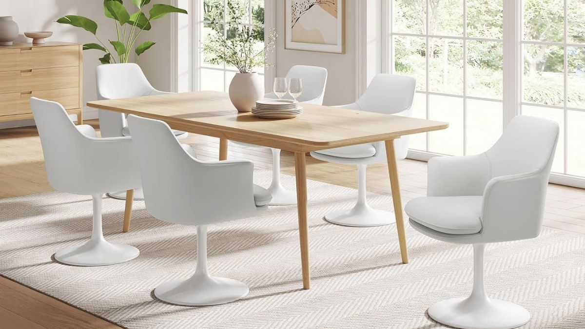 What Makes the Modway Lippa a Standout Modern Dining Chair