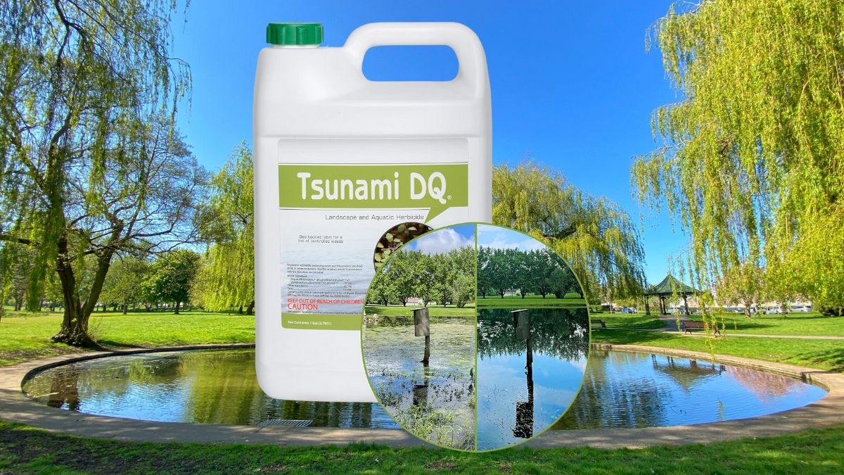 How Tsunami DQ Aquatic Herbicide Tackles Stubborn Lake and Pond Weeds Fast