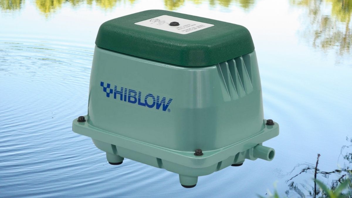 Why the HIBLOW HP-80 Is the Smartest Long-Term Investment for Pond and Septic Aeration