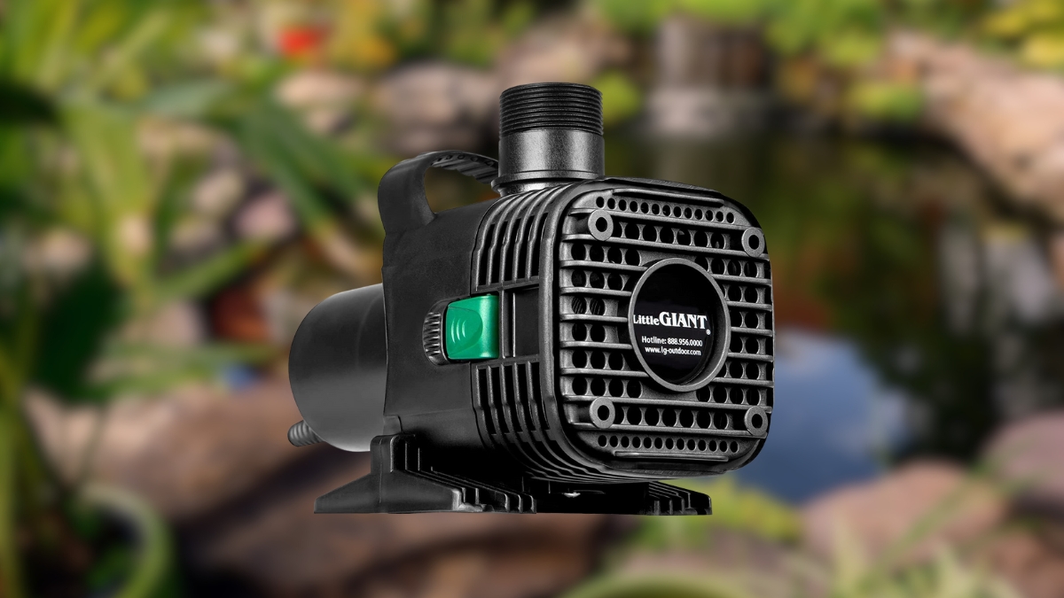 Why You’ll Love the Little Giant Pond Pump for Your Koi Pond