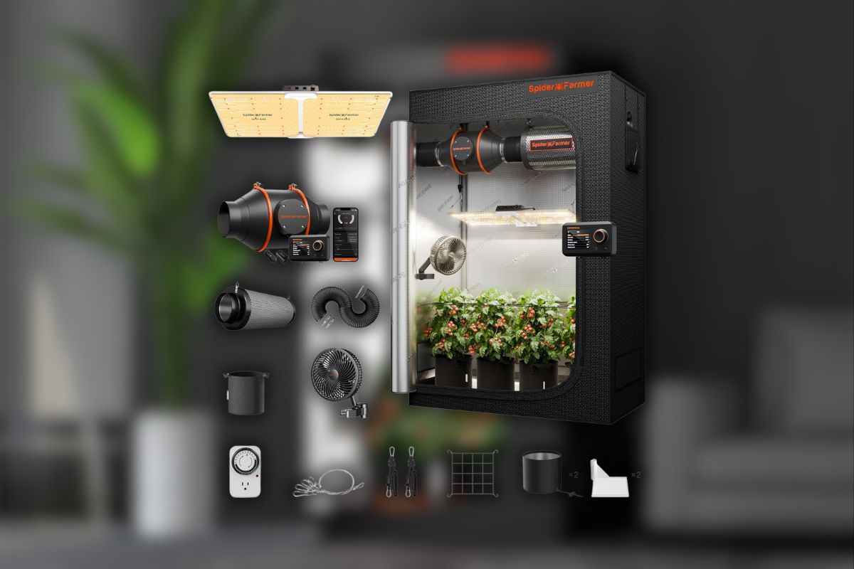 Grow Smarter at Home: Spider Farmer 4×2 Tent with SF-2000 LED & Climate Control