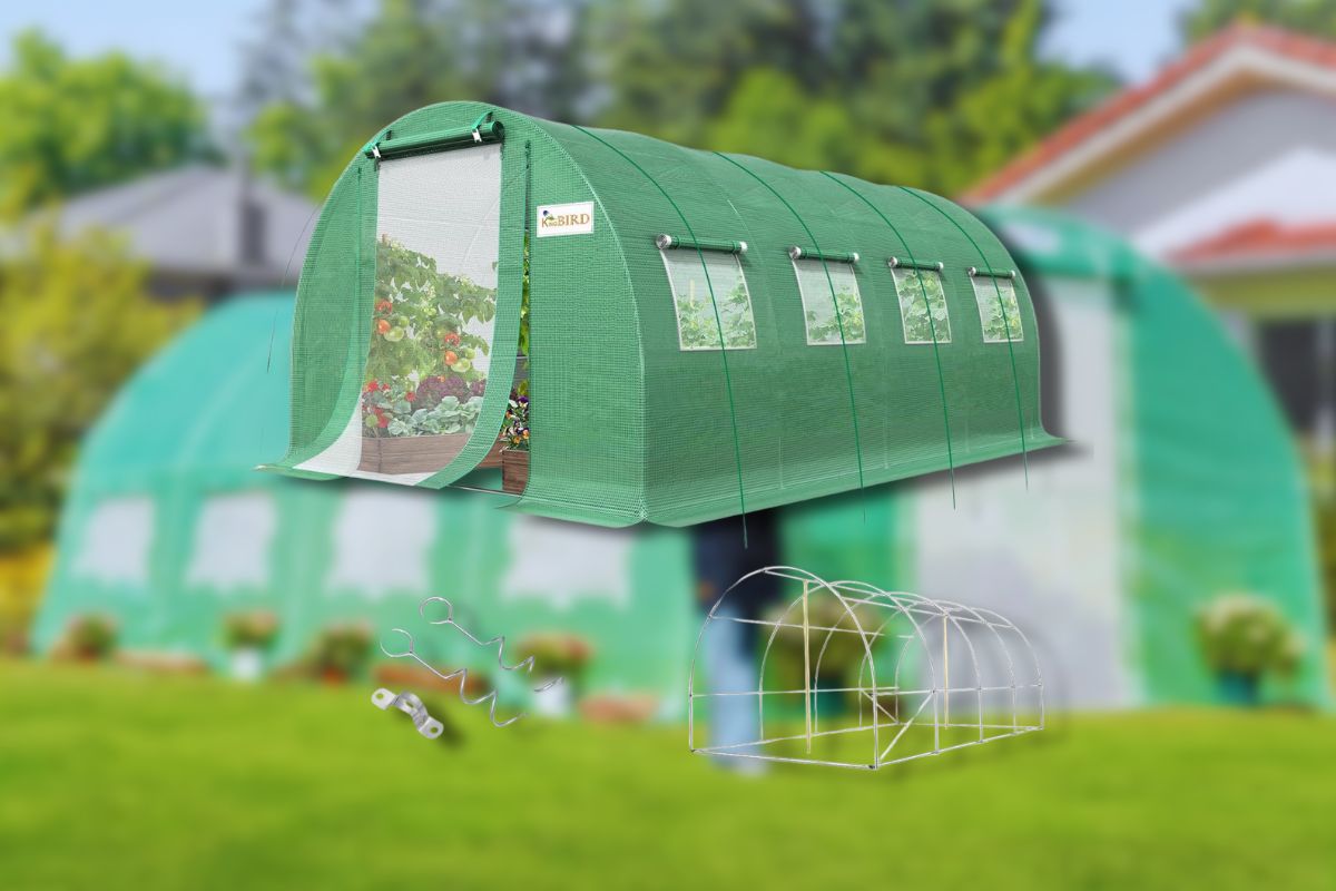 KING BIRD Premium 20×10×6.6 ft Greenhouse: Transform Your Garden Year-Round