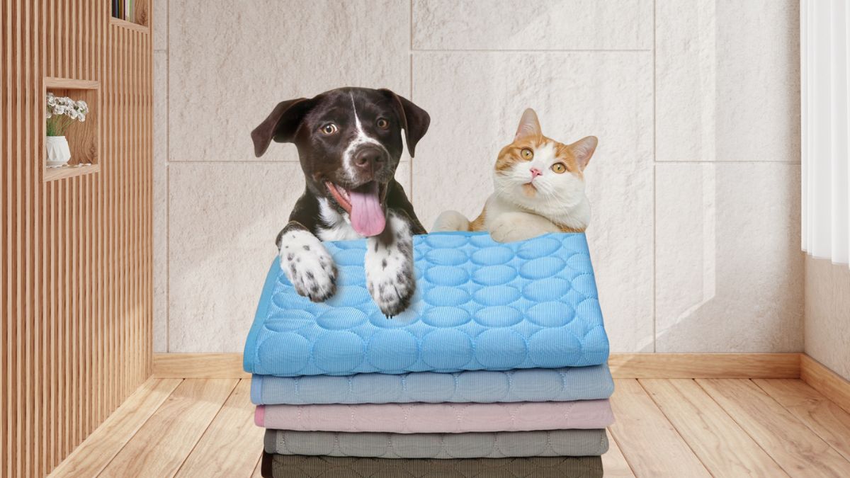 Why a Self-Cooling Pet Mat Makes More Sense Than You Think