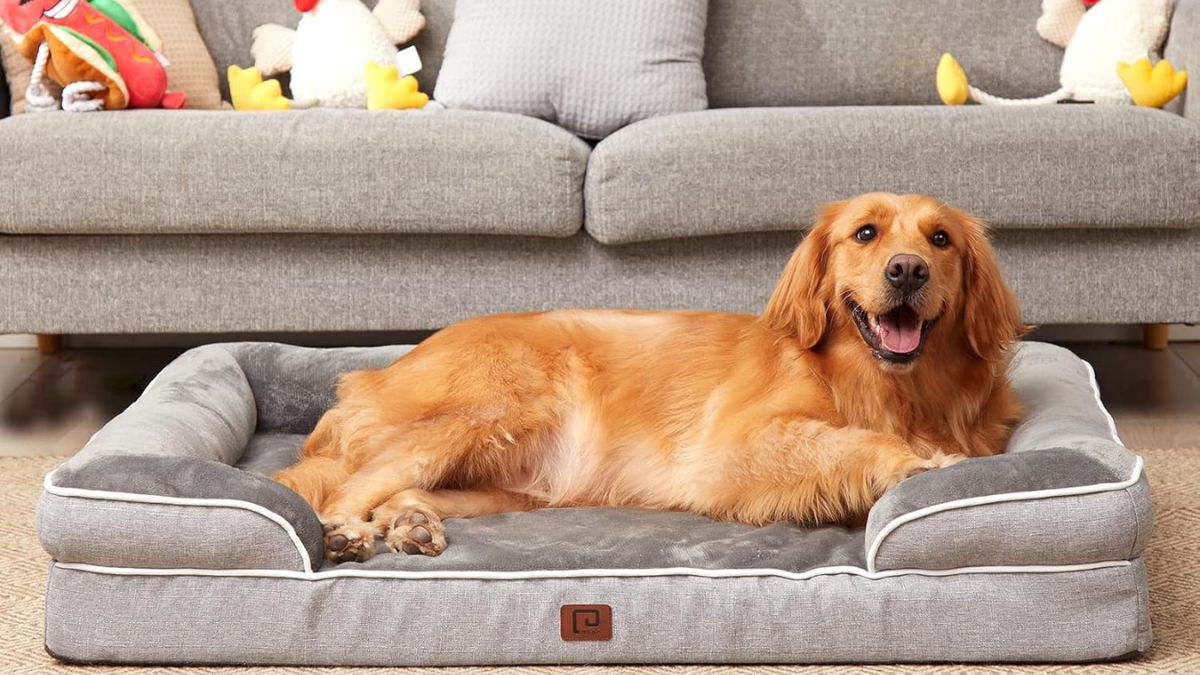 Why the EHEYCIGA Orthopedic Dog Bed Offers Real Relief for Extra-Large Dogs