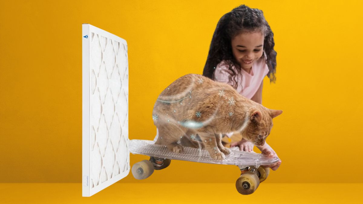 How the Simply 20x20x1 MERV 8 Air Filter Improves Everyday Indoor Air Quality