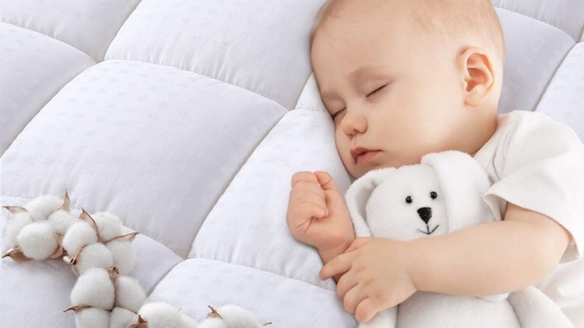 EASELAND Queen Size Mattress Pad