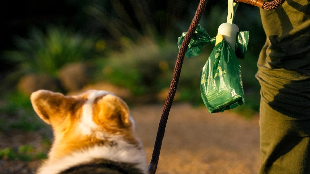 These Earth Rated Poop Bags Are a Must-Have for Every Dog Walk