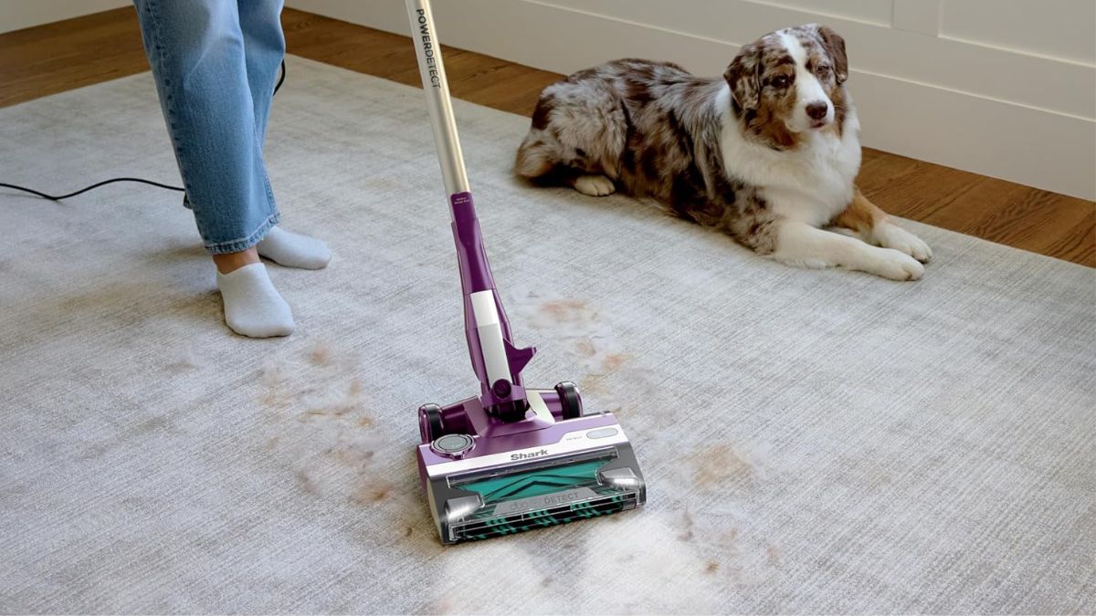 What Makes the Shark POWERDETECT HZ4001AMZ a Smart Stick Vacuum Upgrade