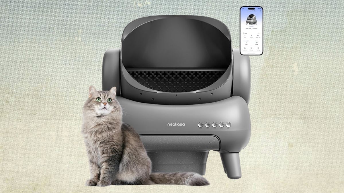 How the Neakasa M1 Makes Cat Litter Maintenance Easier Than Ever