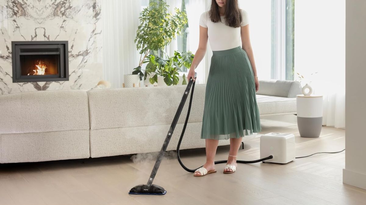 What Makes the Dupray Neat Steam Cleaner a Smart, Chemical-Free Cleaning Upgrade