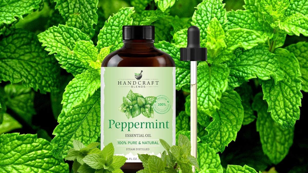 Handcraft Blends Peppermint Essential Oil: Refreshing Premium-Grade Choice