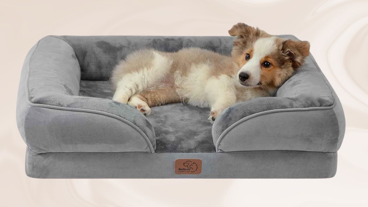 Bedsure Orthopedic Dog Bed for Medium Dogs: The Ultimate Comfort Solution (2025 Review)