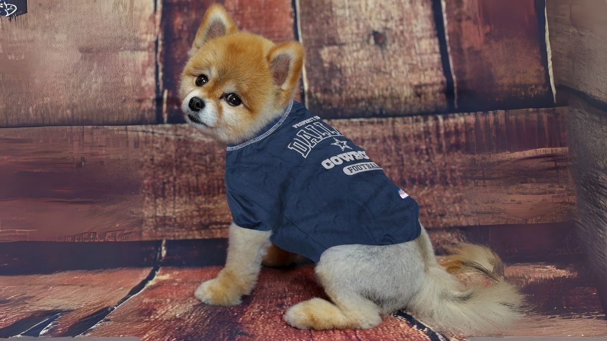 Dallas Cowboys Pet T-shirt: Official NFL Licensed Apparel for Dogs & Cats