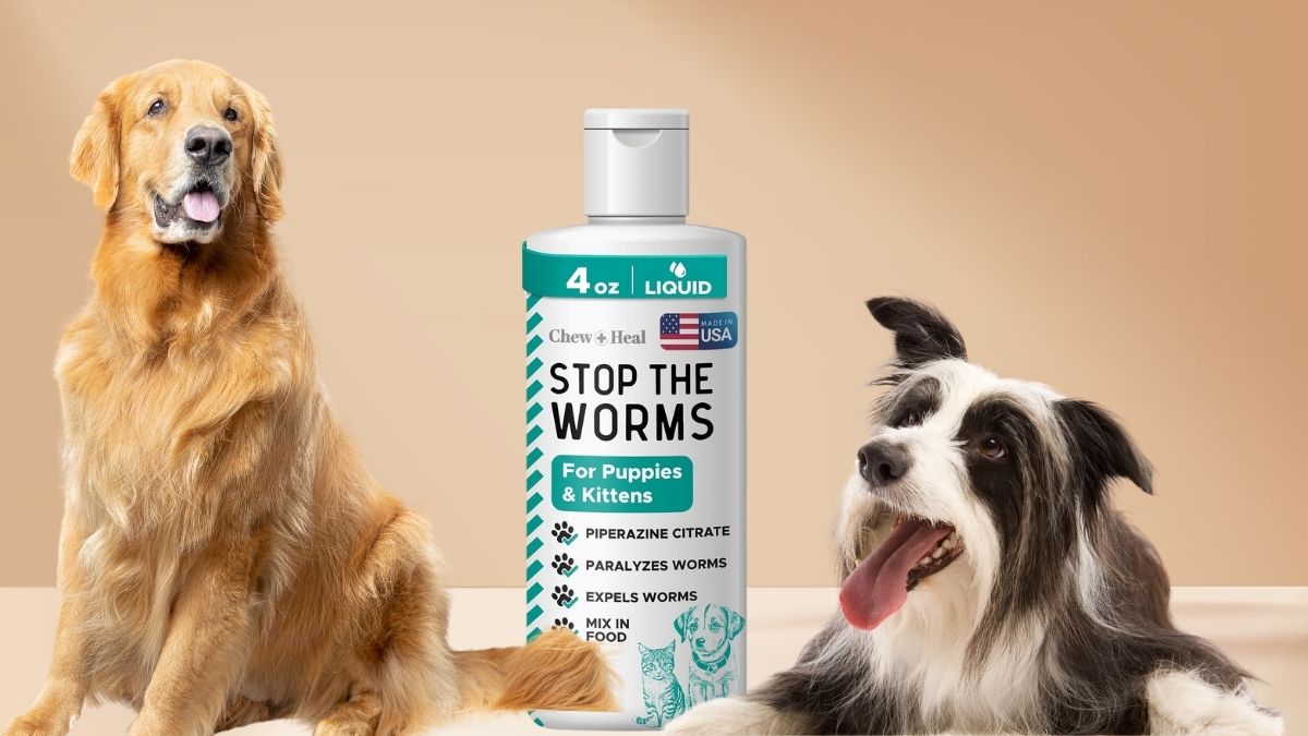 Protect Your Pets from Roundworms with This Dog and Cat Dewormer Liquid