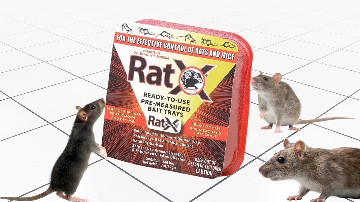 EcoClear Products 620105 RatX Ready-to-Use Trays