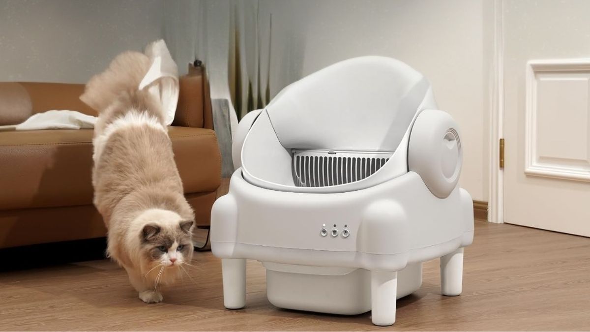 Paruuntys Self Cleaning Litter Box: Open Top Automatic Solution with App Control