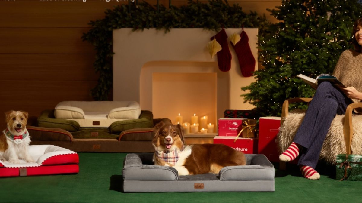 Why the Bedsure XL Plus Orthopedic Dog Bed Is Built for Extra Large Dogs