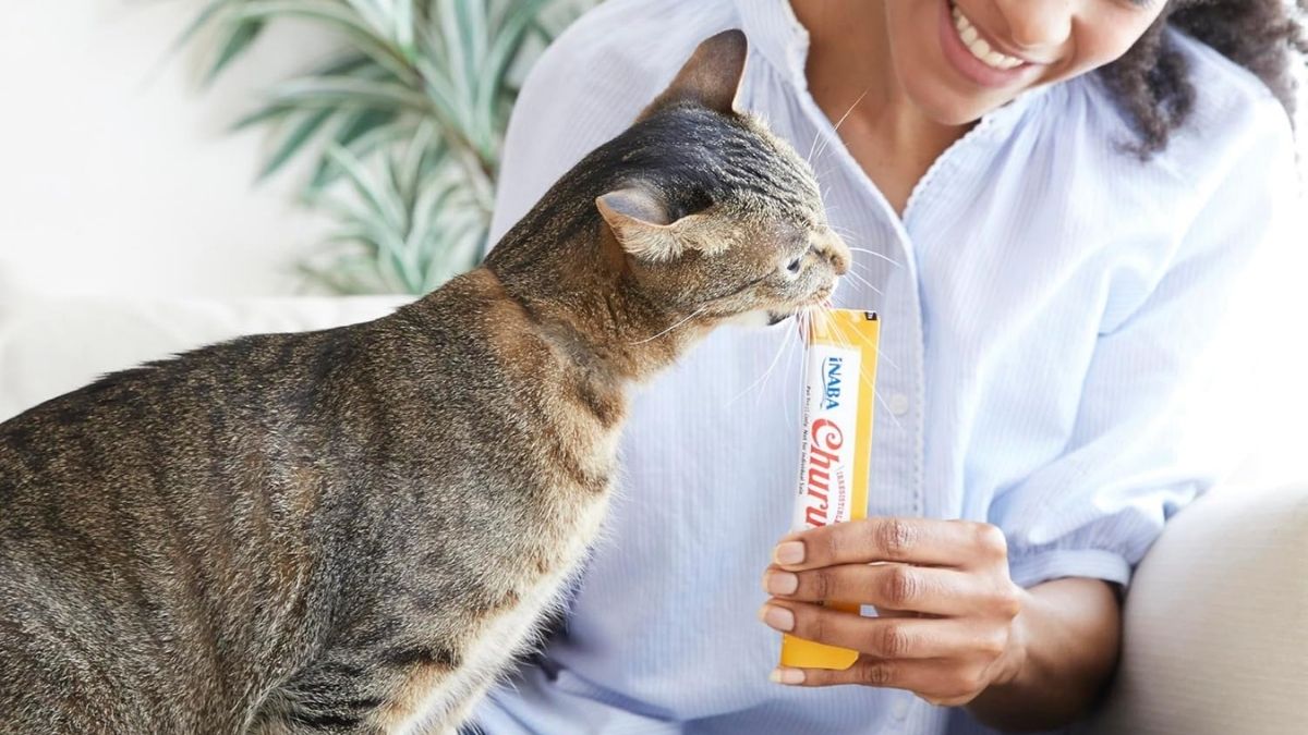 INABA Churu Cat Treats