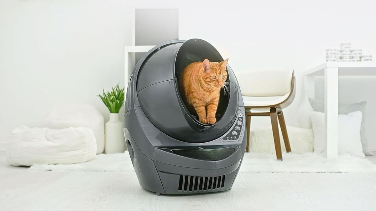 Litter-Robot 3 Connect: Does This Smart Litter Box Really Simplify Cat Care