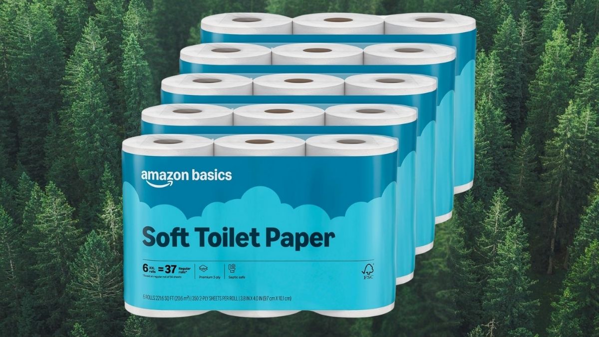Amazon Basics FSC-Certified 2-Ply Septic-Safe Toilet Paper: A Smart, Sustainable Household Choice