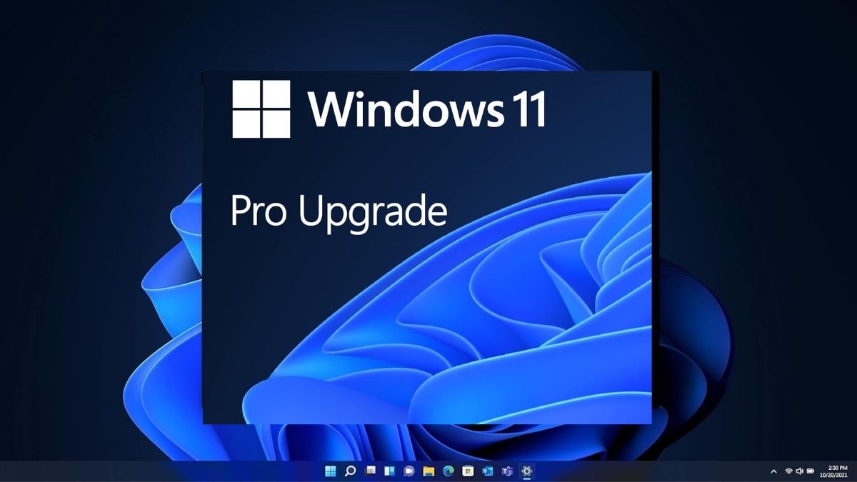 Windows 11 Pro Upgrade