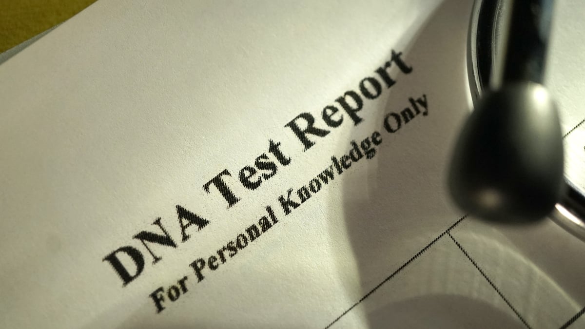 How DNA Ancestry Test Results Can Expand Your Family History Research Journey