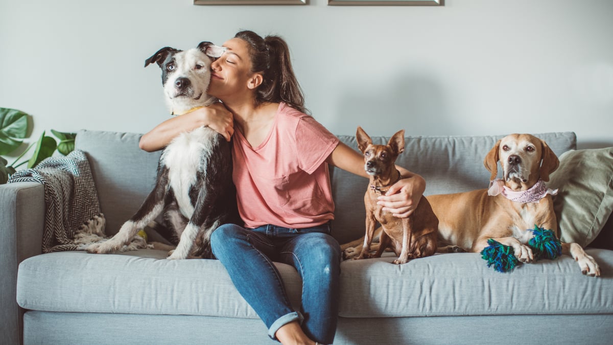 This Best Pet Insurance Guide Helps You Find Reliable Coverage with Greater Confidence