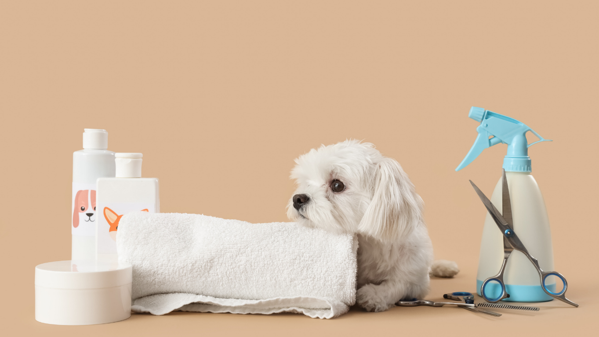 Why Dog Grooming Supplies Matter for Your Pet’s Everyday Care Routine