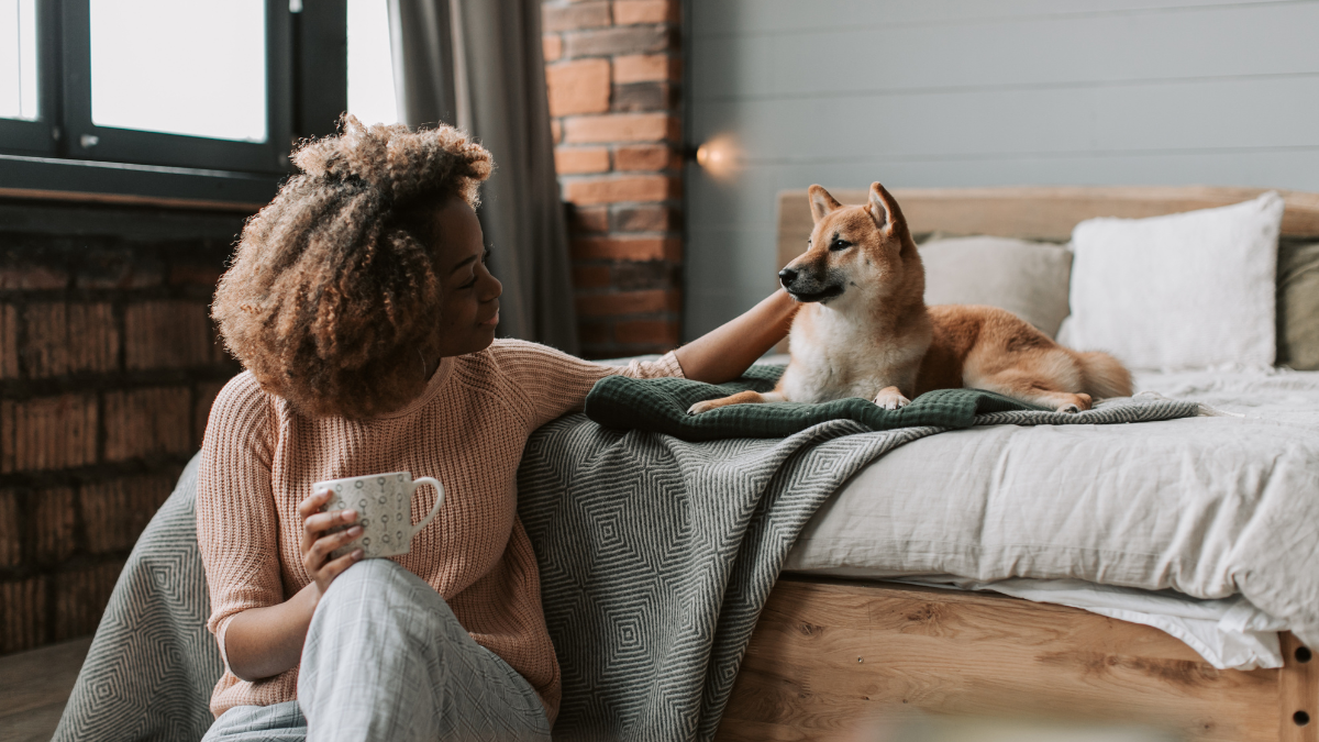 Accident and Illness Pet Coverage Explained With Deductibles and Reimbursement Terms