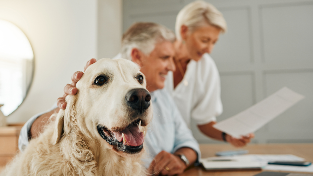 What Pet Insurance Annual Limit Should You Choose for Better Coverage