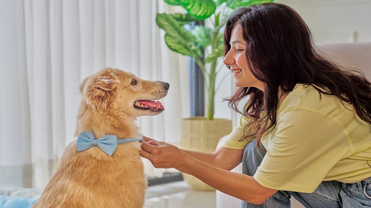 What to Know About Pet Health Coverage Before Selecting Insurance